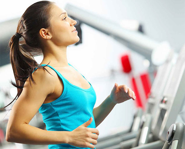 Rengi Antalya Premium